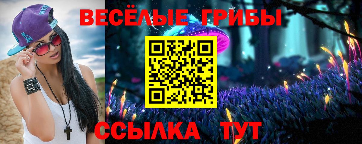 Псилоцибиновые грибы прущие грибы  Вход с VPN  Волжск 