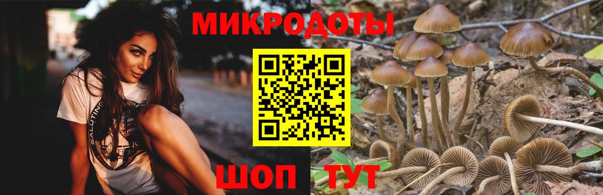 Галлюциногенные грибы Magic Shrooms Волжск