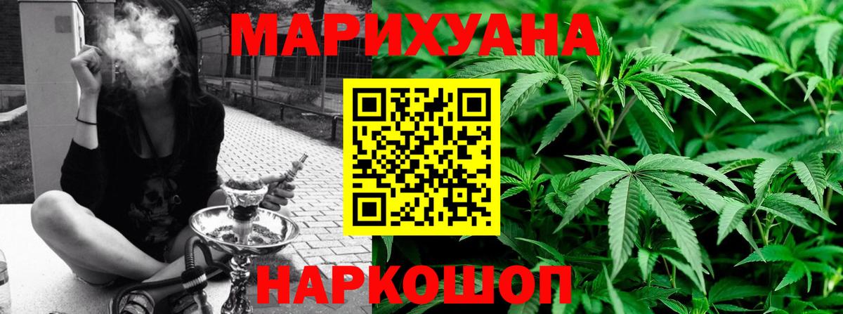 Каннабис сатива Волжск